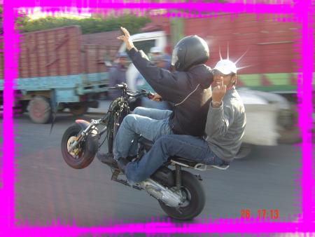 pipo_featatwa_pipsy_flip