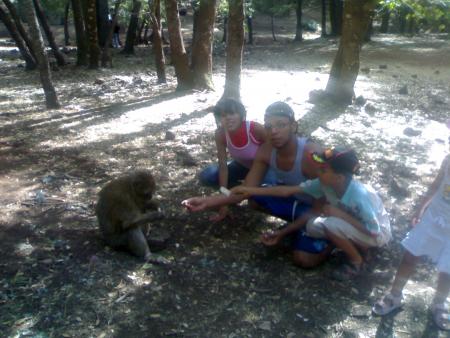 9ridos lollllllllllllll