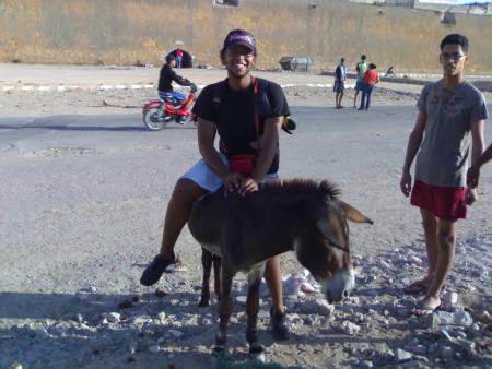 donkyyyyyyyyyyyyyyyy