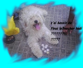 rozaaaaaaaaaaaaaaaaaaaaa