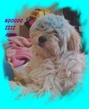 les meshhhhhhhhhhhhhhhhhhh